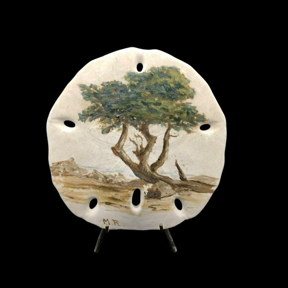 Hand-Painted Sand Dollar Art Monterey Cypress 4.5 x 5 In. Signed By Artist M.R. - Picture 1 of 8